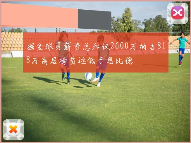 掘金球员薪资总和仅2600万纳吉818万高居榜首远低于恩比德