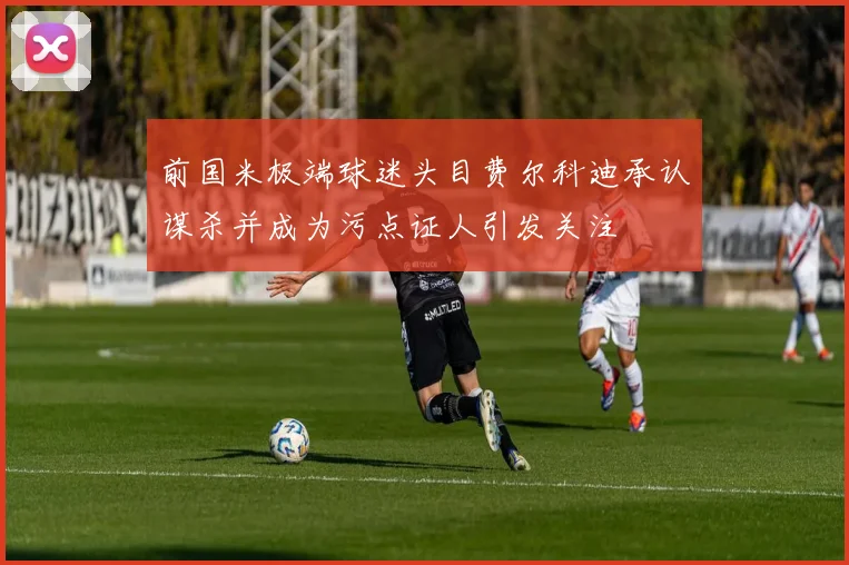 前国米极端球迷头目费尔科迪承认谋杀并成为污点证人引发关注